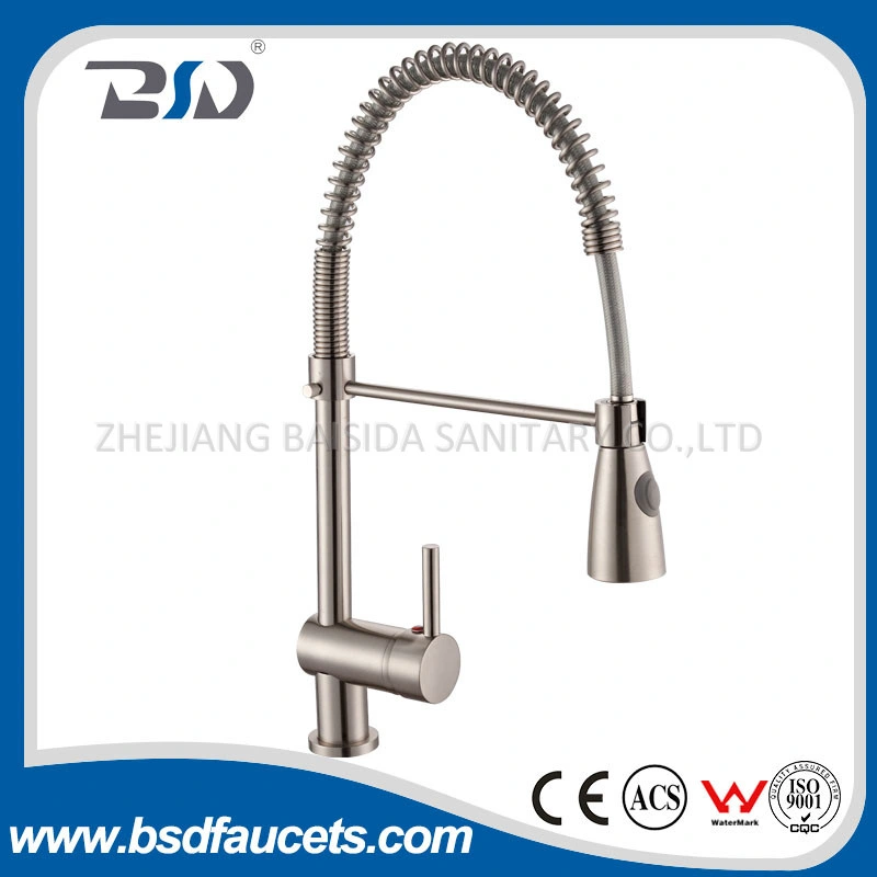 Brushed Nickel Finished Swivel Single Handle Kitchen Basin Sink Faucet