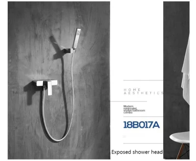 Sanitary Ware Shower Head with Square Top Spray